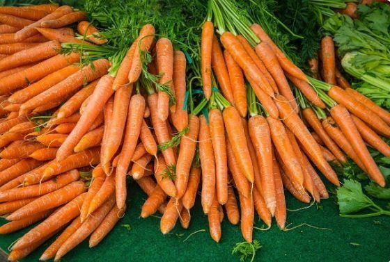 Морковь вырастит идеально ровная и сладкая, если соблюдать эти 5 «золотых» правил агротехники