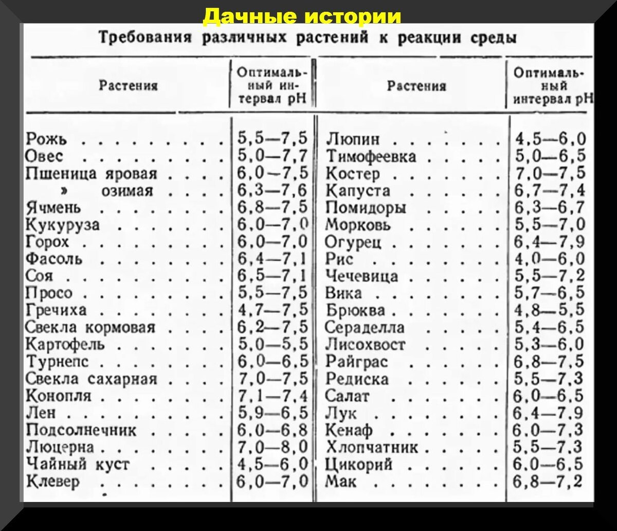 Кислотность грунта почвы