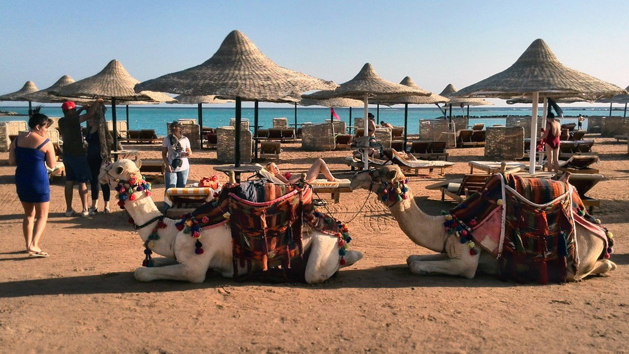 Фото с египта отдыхающих