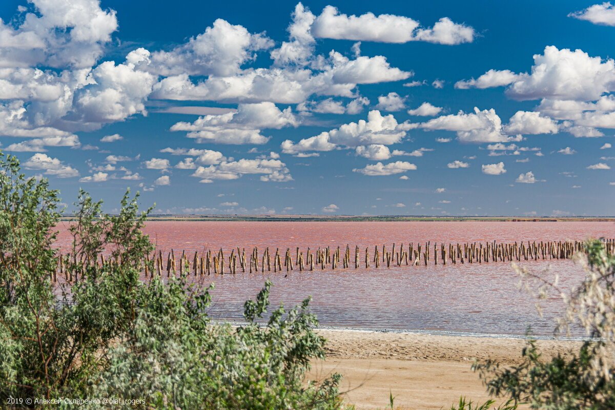 Розовое озеро сасык сиваш