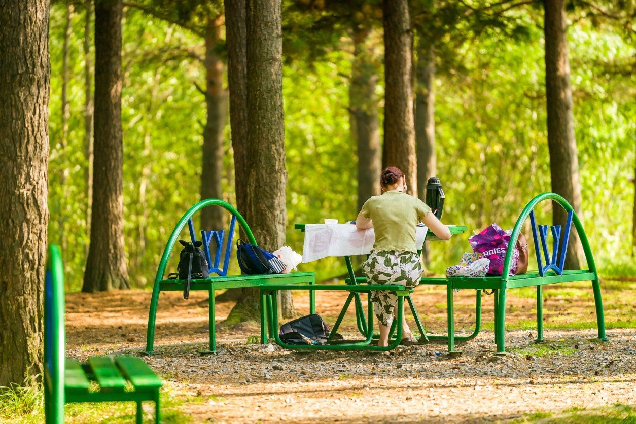 Eco park. Парк Сайма Сургут. Сургут белки парк Сайма. Парк за Саймон Сургут. Парка за Саймой Сургут.