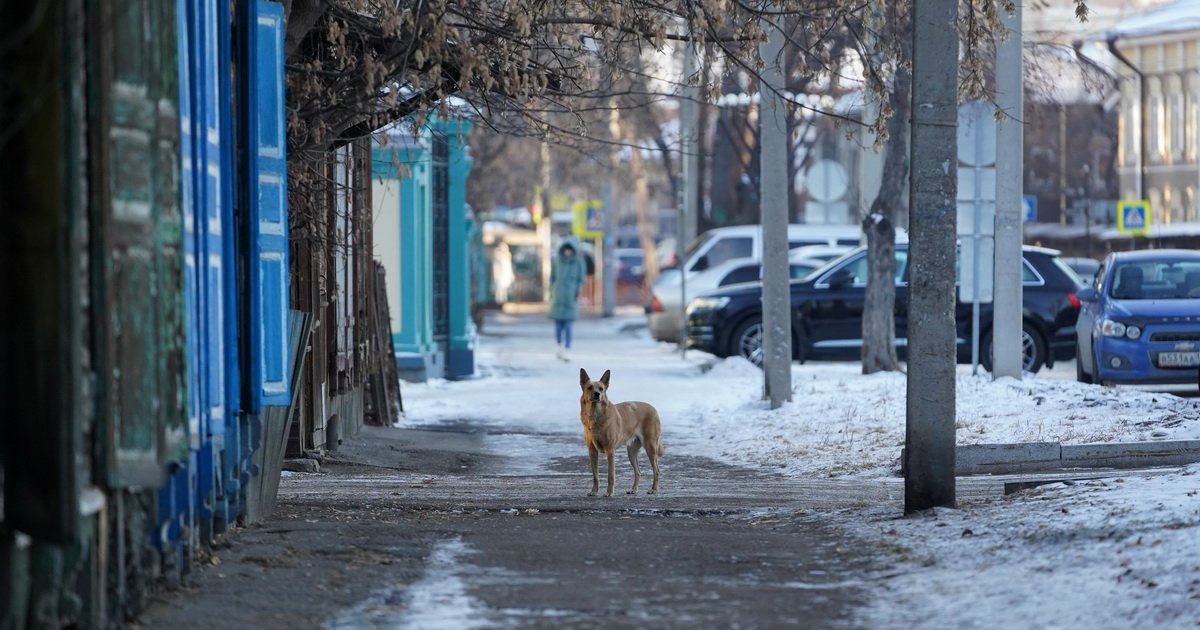 Конкурс на предоставление грантов