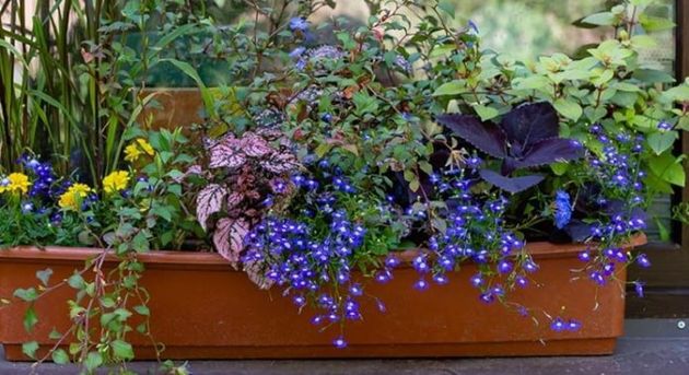 8 практичных примеров использования гравия в саду и огороде, которые украсят любую дачу