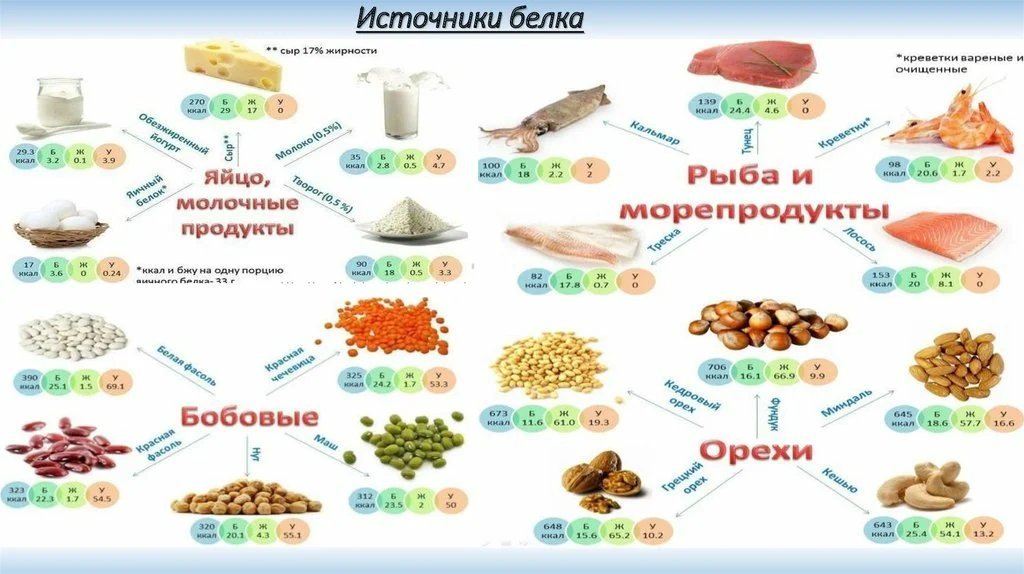 В чем есть белок. Продукты источники белка таблица. Основные пищевые источники белка. Основные источники белка в продуктах питания. Основные источники белка в питании.