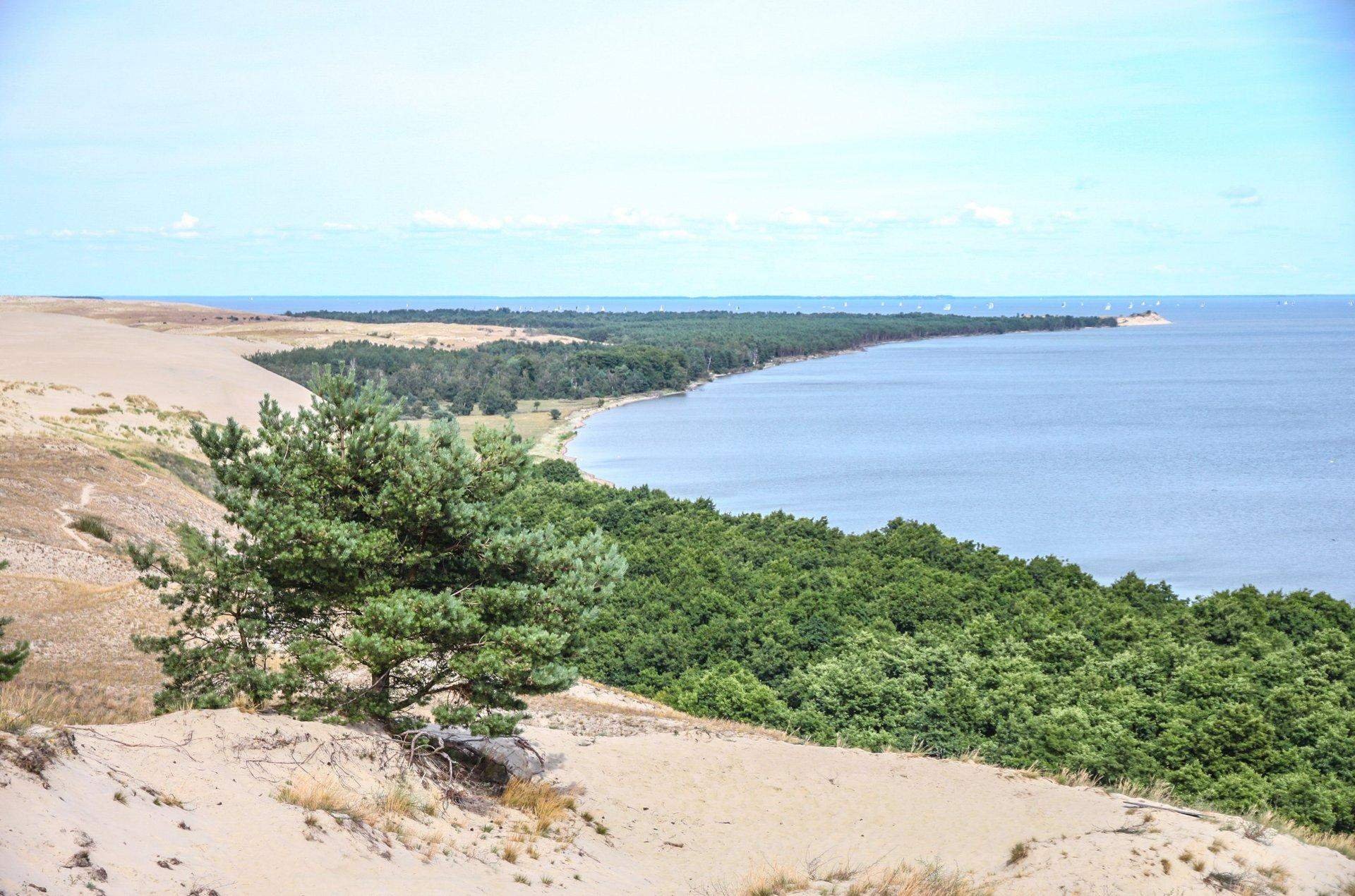 Когда была куршкая коса