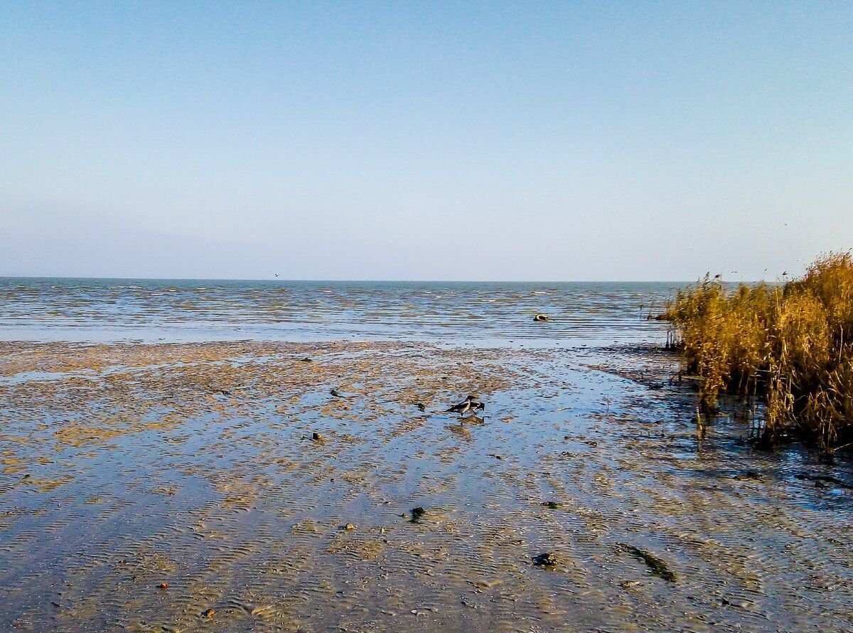Таганрог залив азовского моря