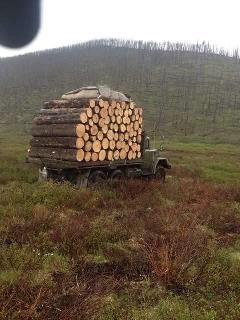 Как возят лес в Монголии
