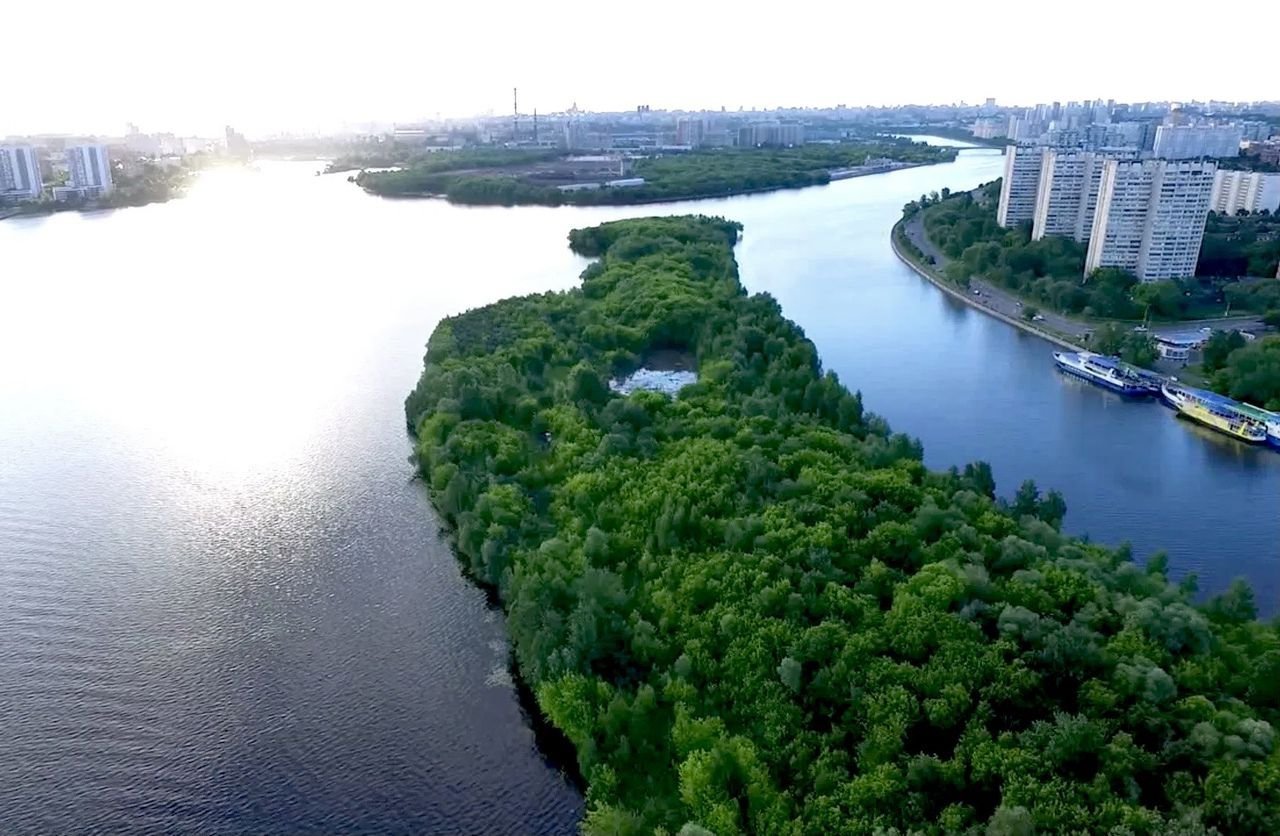 Остров москва. Бобровый остров Москва-река. Бобровый остров Нагатино. Остров Бобровый Москва. Остров Бобровый Нагатинский Затон.