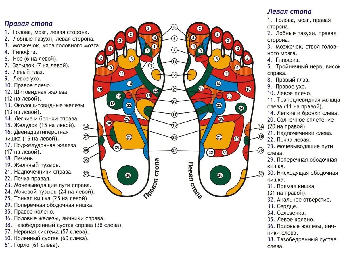 Активные точки стопы акупунктура