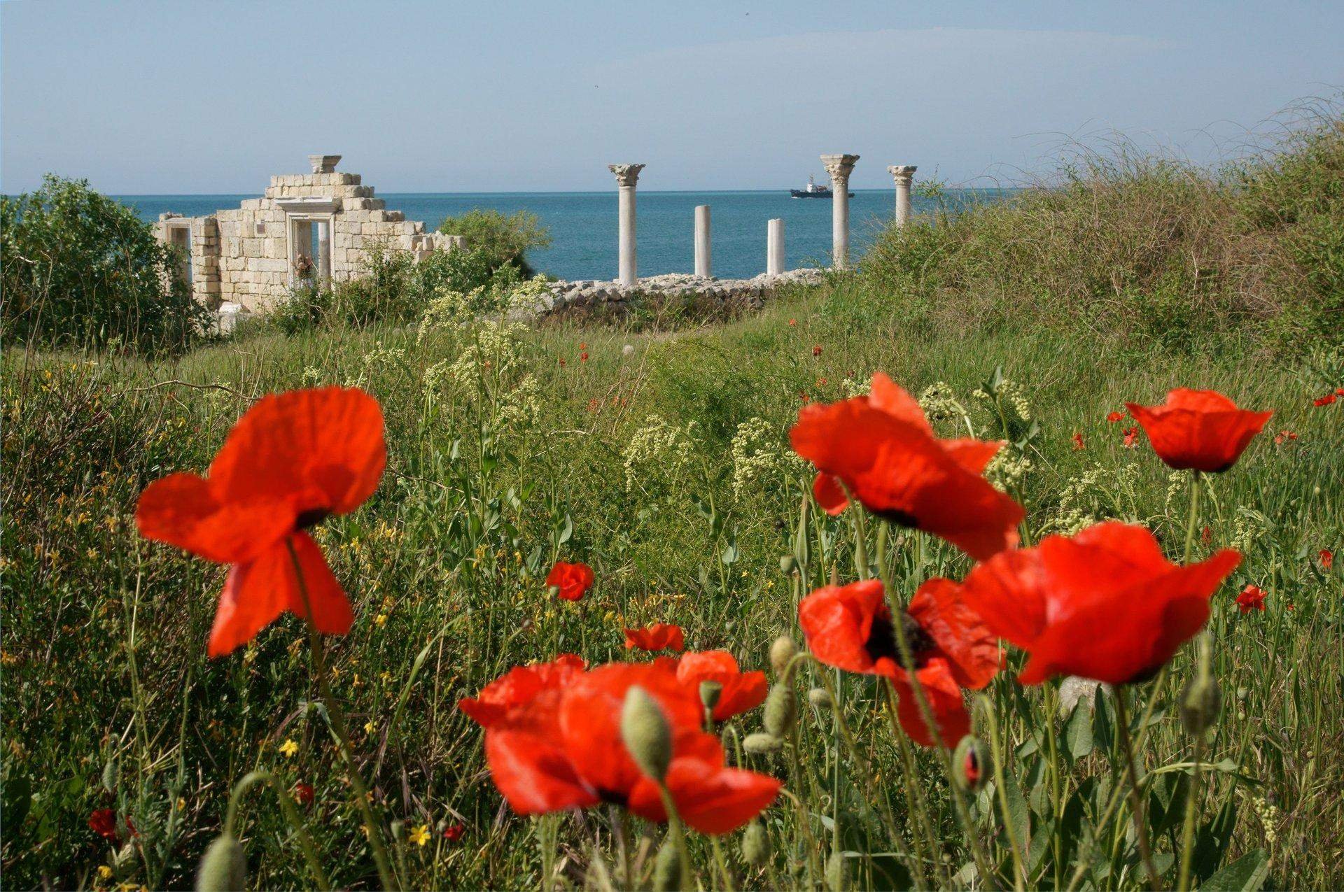 Весна Севастополь море Херсонес