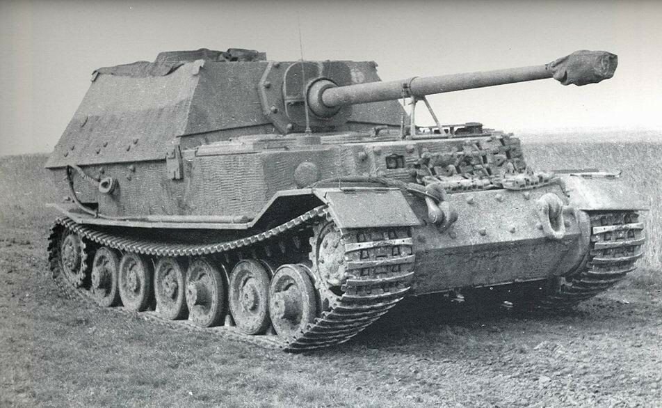 Сау тигр. SD.KFZ.184.