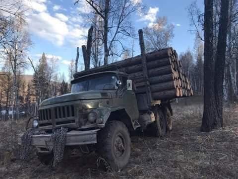 Как возят лес в Монголии