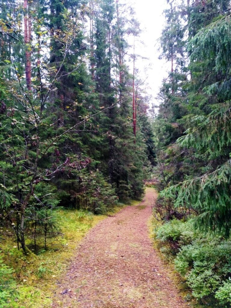 Валдайская тропа фото