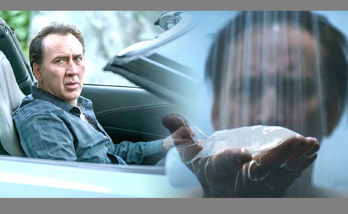 Фильм про оценщика картин которого ограбили