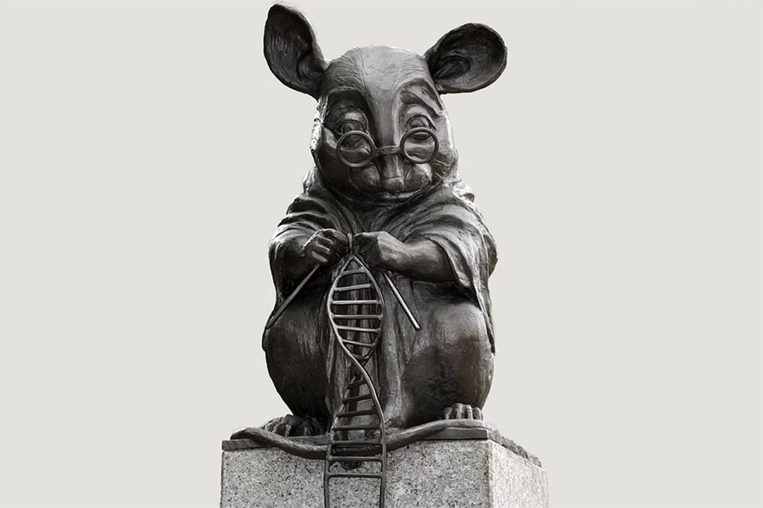 Памятник лабораторной мыши новосибирск фото