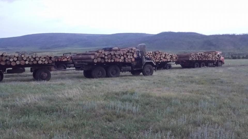 Как возят лес в Монголии