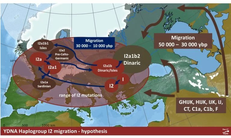 Распространение галогруппы i2r. Гаплогруппа i2. Гаплогруппы i2a народов. I2 haplogroup. Гаплогруппы i2a народов.
