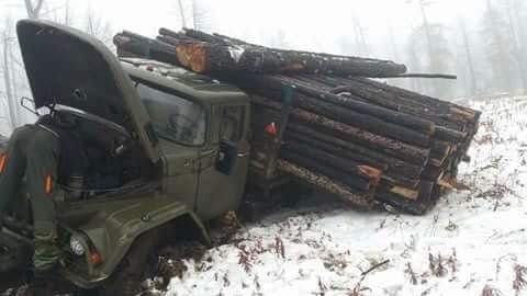 Как возят лес в Монголии