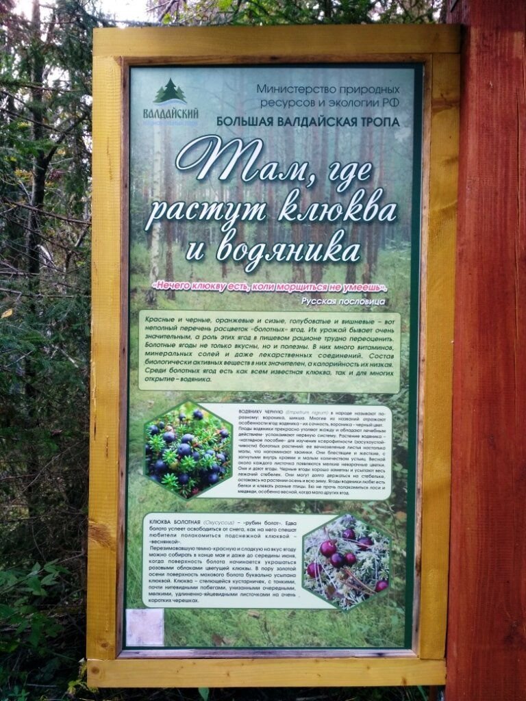 Большая валдайская тропа маршрут карта
