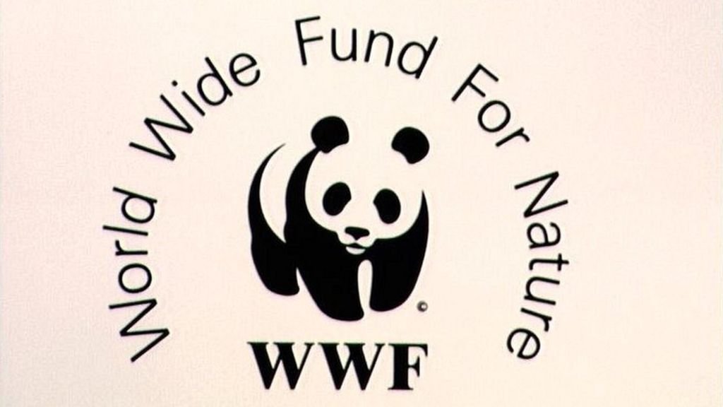 Wildlife fund. Всемирный фонд дикой природы WWF России. Всемирный фонд дикой природы WWF логотип. 11 Сентября - день рождения Всемирного фонда дикой природы (WWF). Эмблема фонда охраны дикой природы.