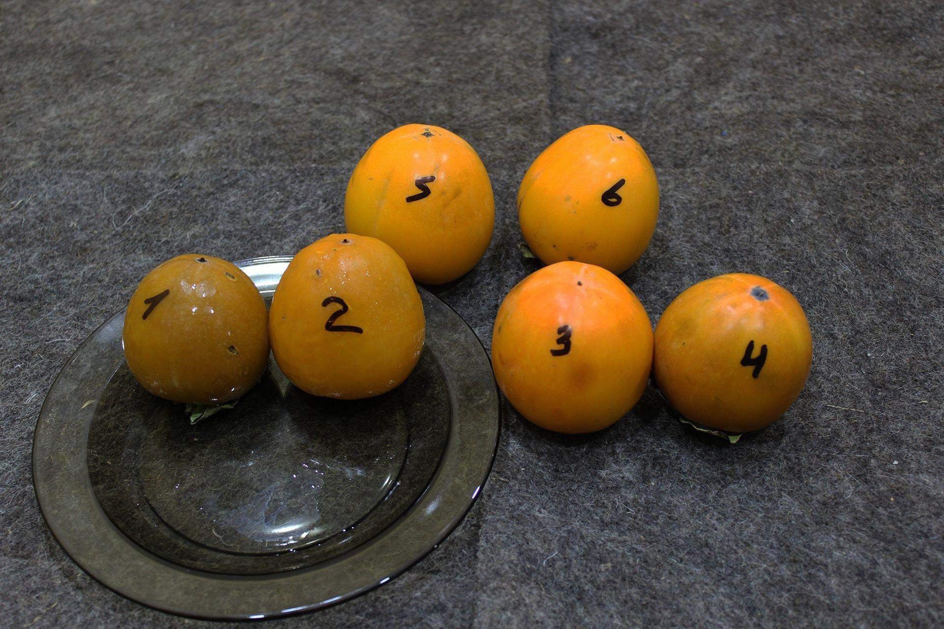 Как хранить хурму. Хурма вяжет. Королевская хурма вяжет или нет. Как сделать спелой хурмы в домашних. Как сделать хурму не вяжущей.