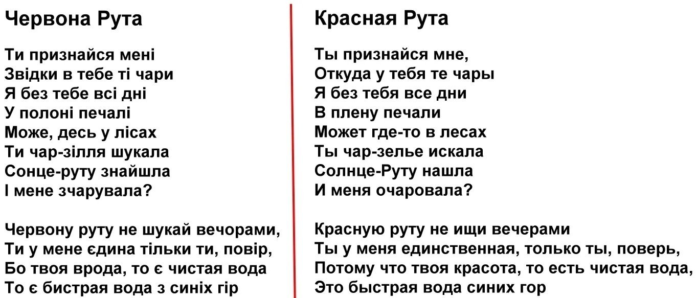 Червона перевод с украинского на русский. Червона рута слова. Червона рута текст песни. Червона рута песня слова. Червона рута перевод.