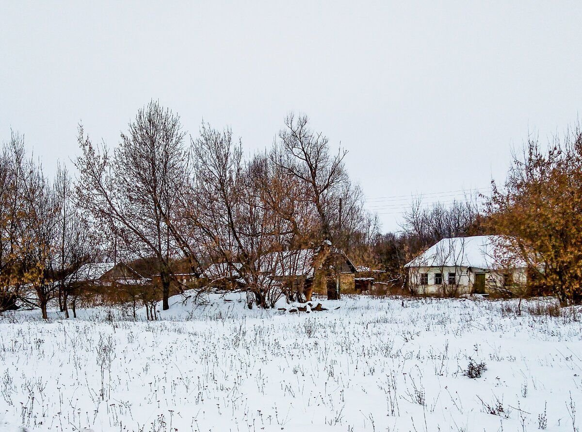 Карта лукошкино деревня