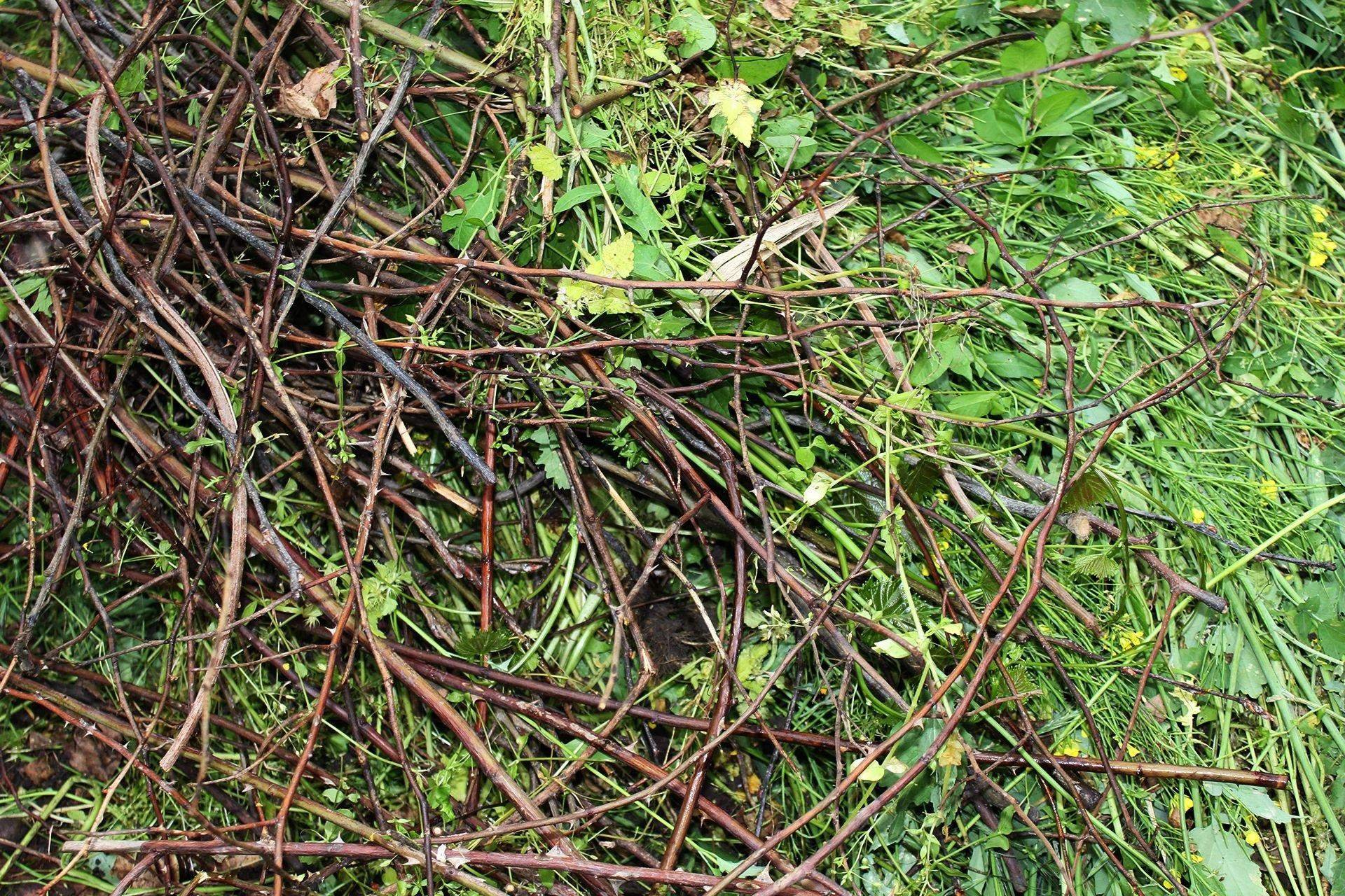 Как утилизировать ветки и траву на своем участке