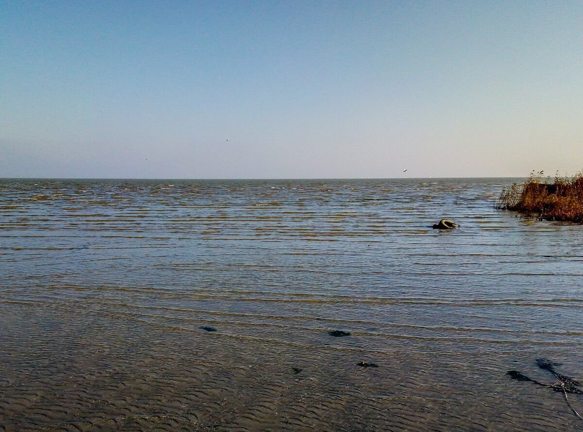 Вода в азовском море в таганроге