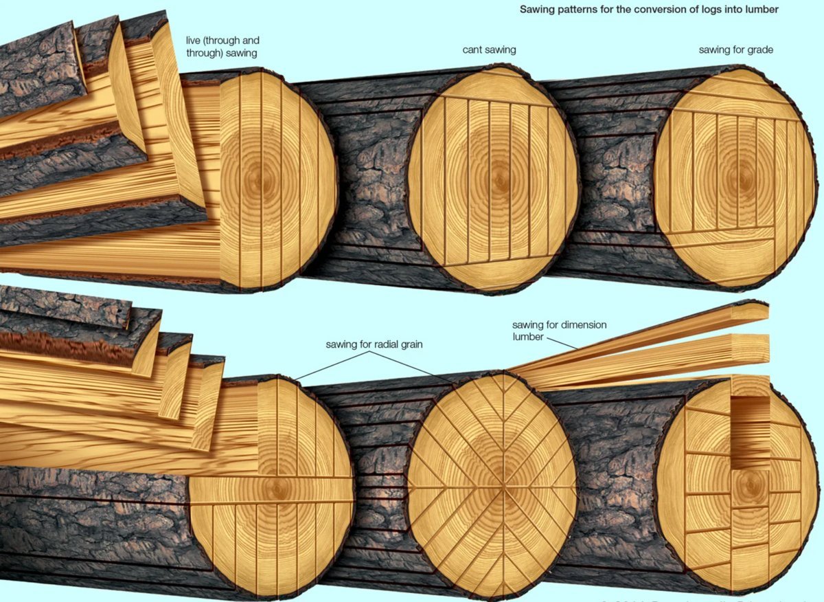 Чем отличается древесина от пиломатериалов. 2 Ex log распил древесины. Распиловка древесины на ленточной пилораме. 2 Ex log распил что такое. Радиальный распил древесины на ленточной пилораме.