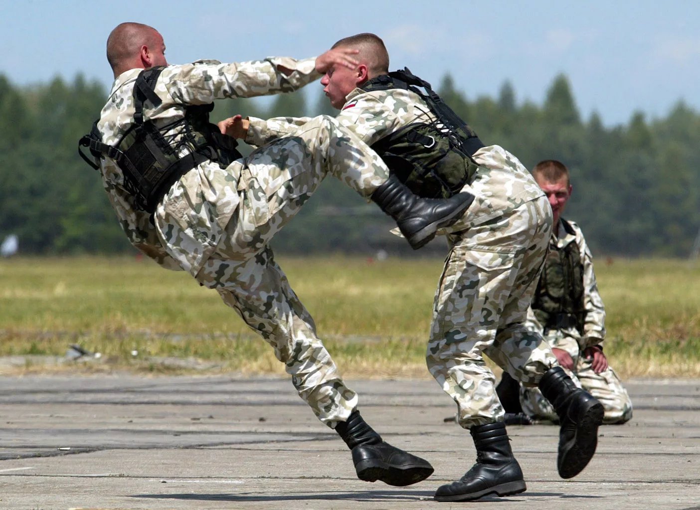 Боевые виды спорта картинки