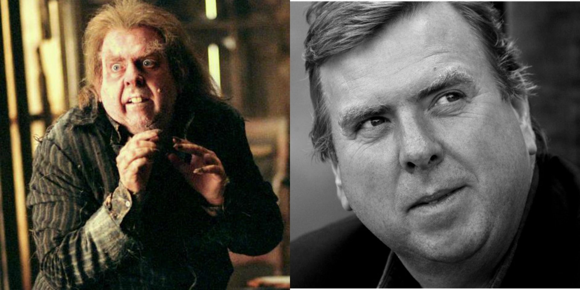 Peter pettigrew character фото