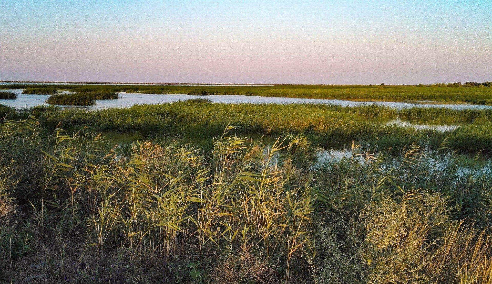 Лиман белгородская область фото