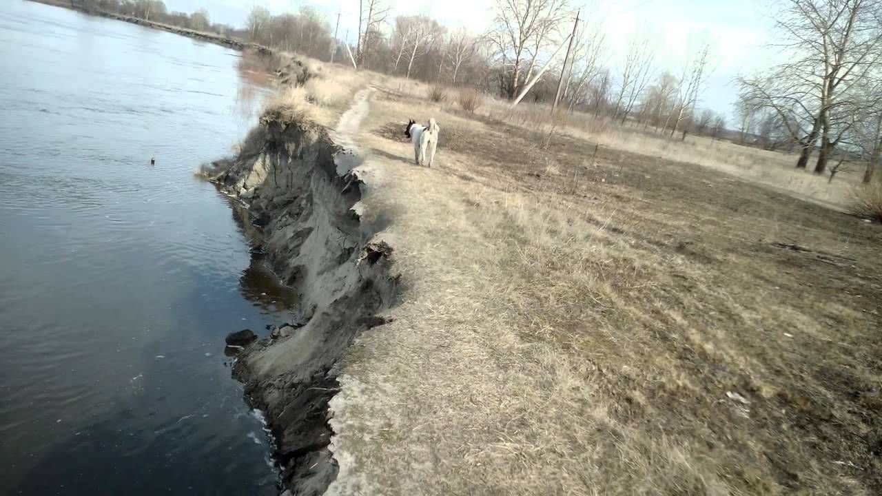 Обвалившийся берег сигнализирует о том, что в этом месте точно есть корм для рыбы.