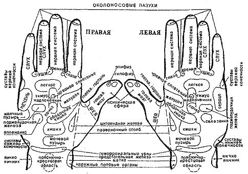 Психосоматика на пальцах. Безымянный палец левой руки психосоматика. Левый указательный палец психосоматика. Повреждение пальцев рук психосоматика. Связь пальцев с внутренними органами.