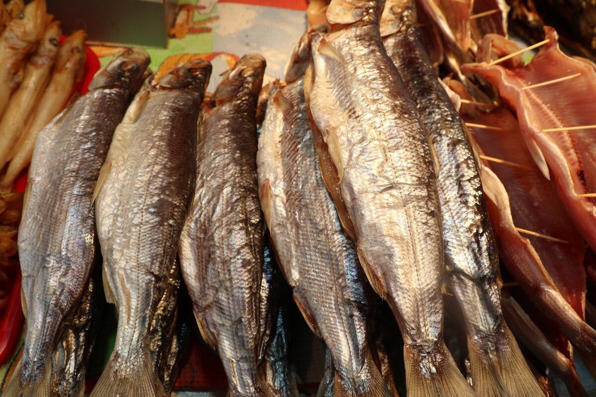 Рыбы иркутской области названия и фото