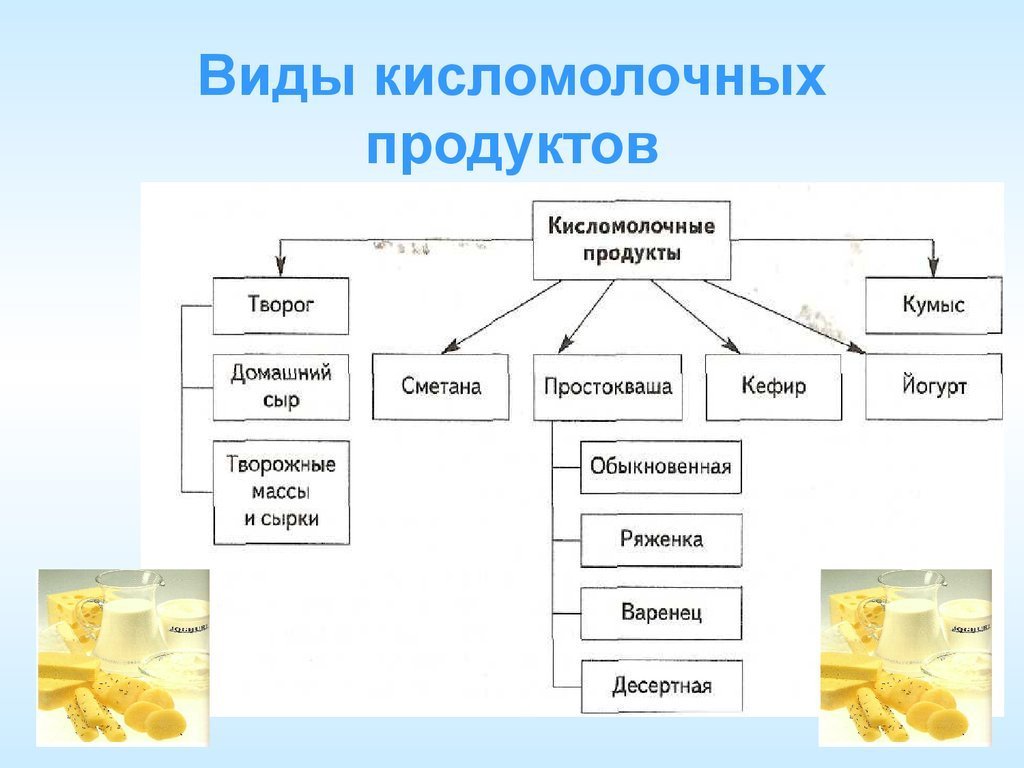 Работая над проектом учащиеся исследовали состав различных образцов молочных продуктов какие факты