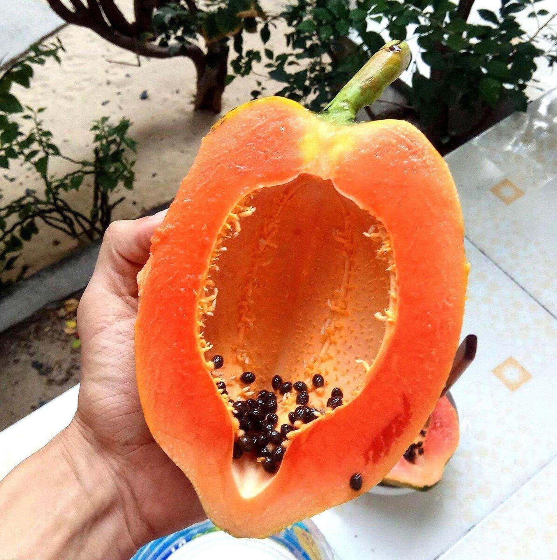 Самый вкусный фрукт