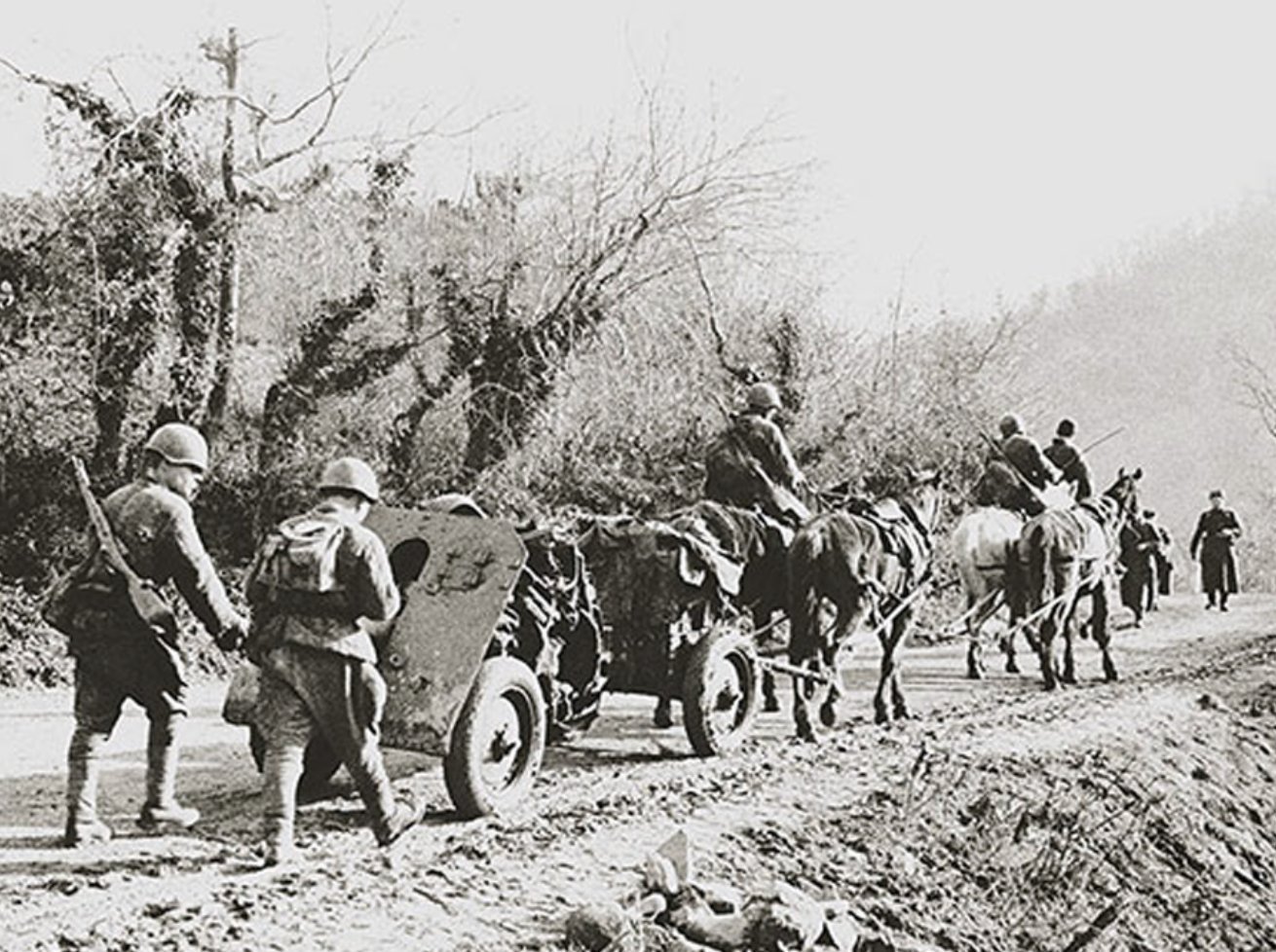 Лошади в Великой Отечественной войне 1941-1945