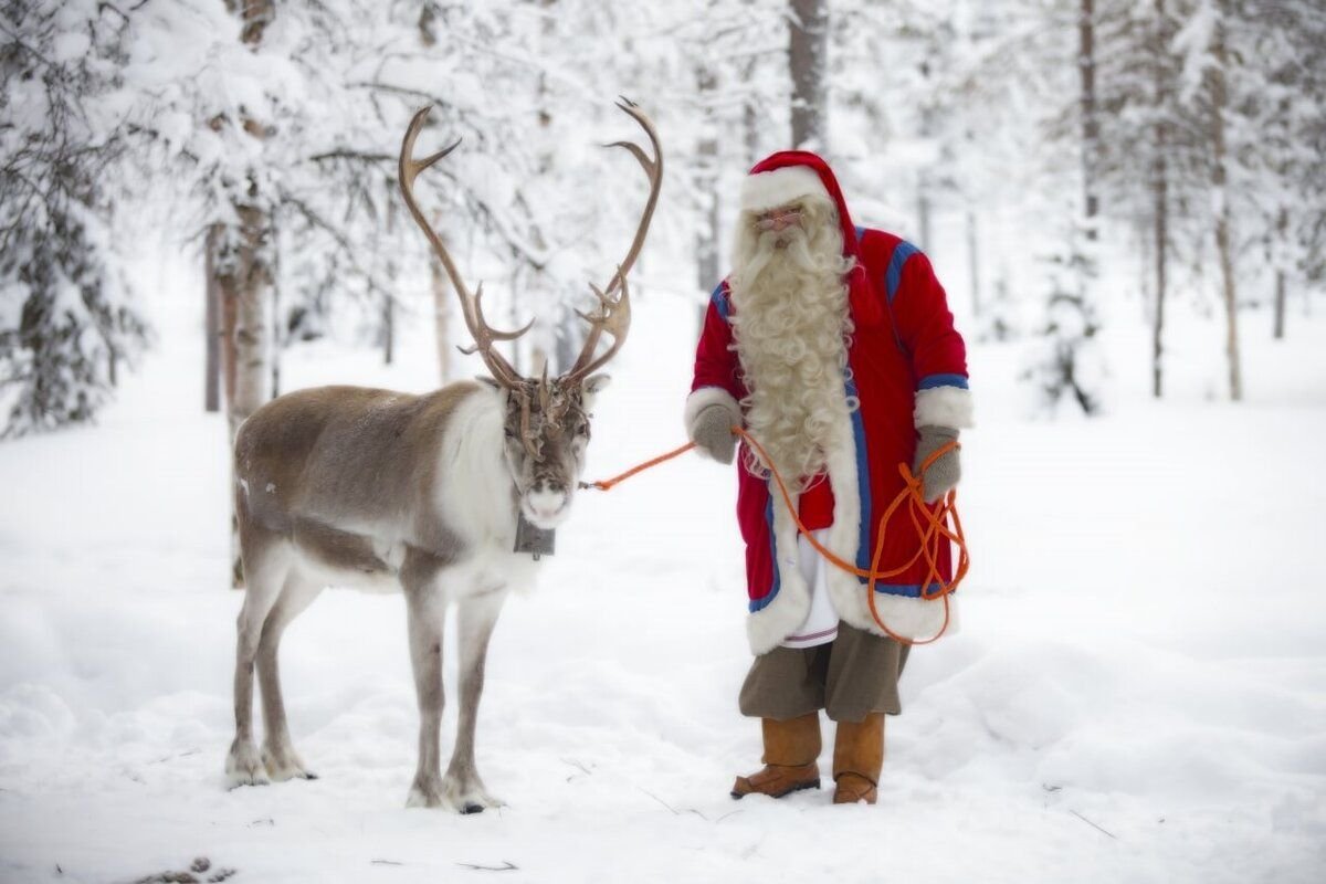 дед мороз в финляндии йоулупукки. финский санта-клаус йоулупукки. муори жена йоулупукки. финский дед мороз йоулупукки. финский дед мороз йоулупукки.