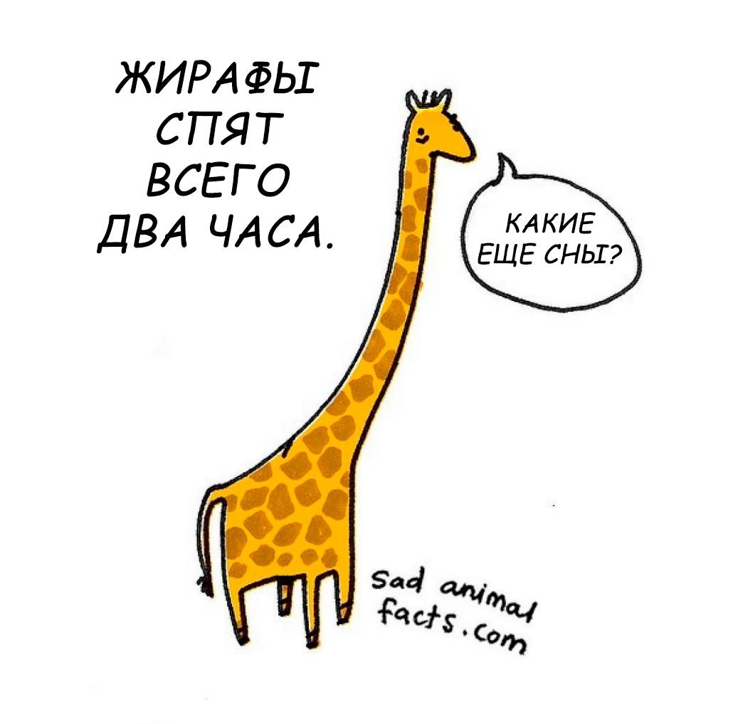 Как нарисовать факт