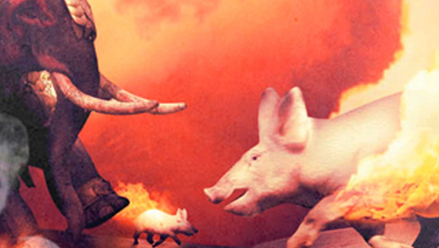 Горящие свиньи в древнем Риме