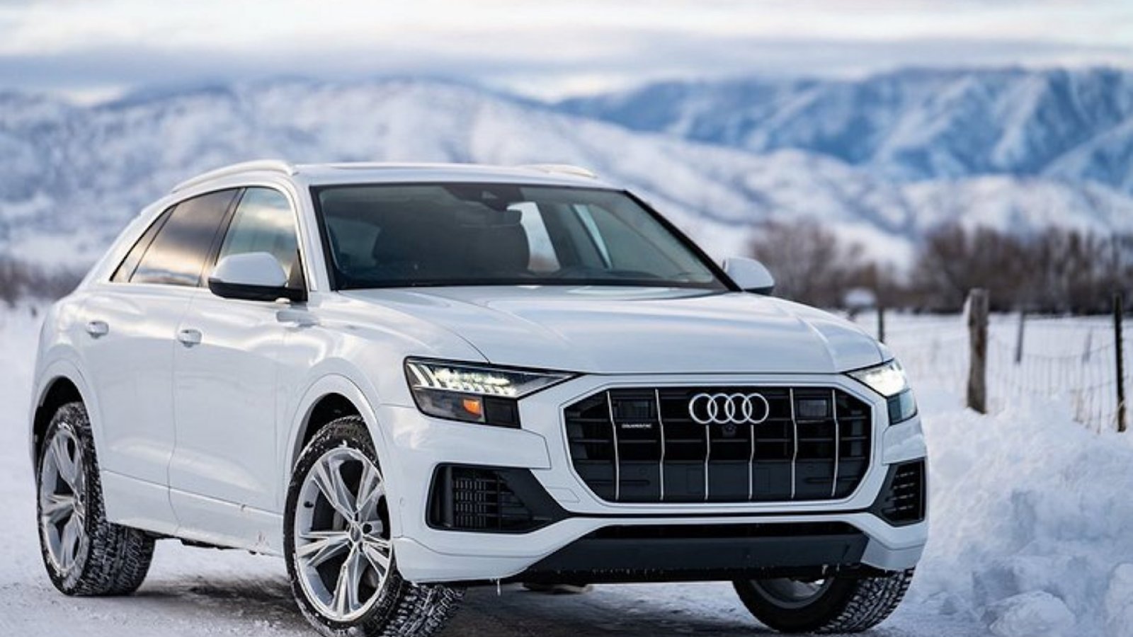 Audi q8. Audi q8 2015. Новый Audi q8. Audi q8 Sportback.