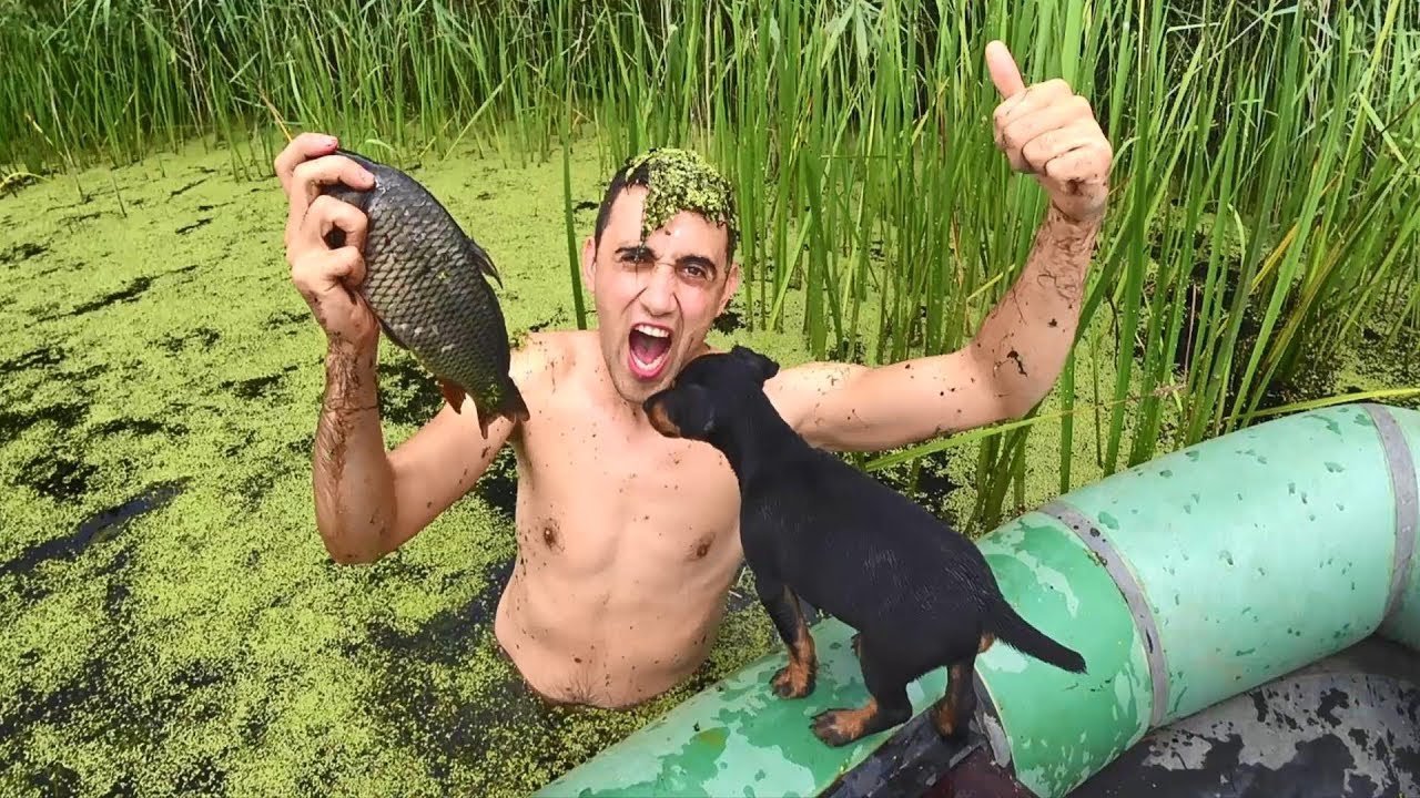 В болотах есть рыба. Болотные рыбки. Болотный монстр в реальной жизни. Загрязненные водоемы. Загрязненные водоемы.