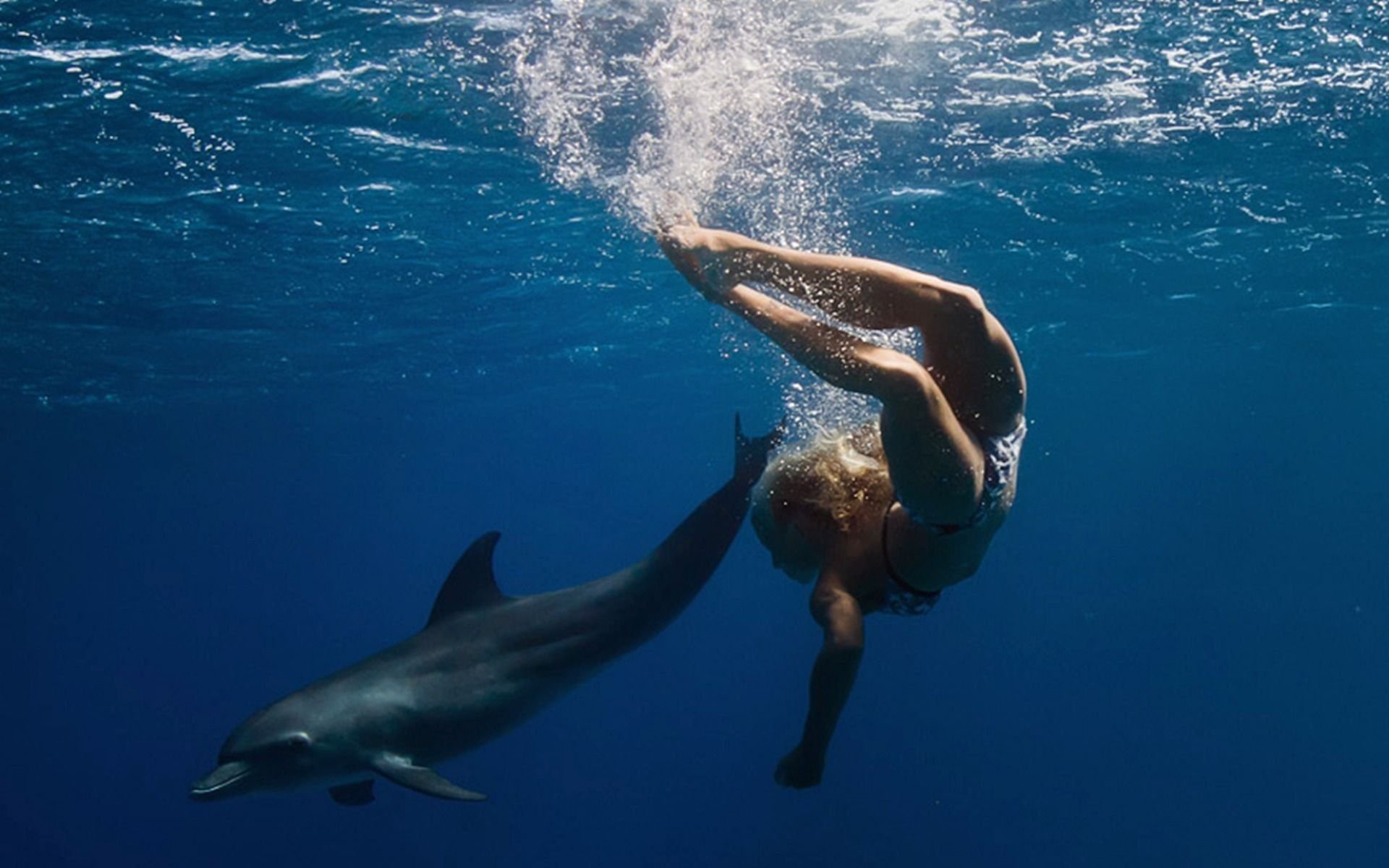 Dolphin my girl. Плавать с дельфинами. Плавание с дельфинами в океане. Девушка плавает с дельфинами. Человек Дельфин.