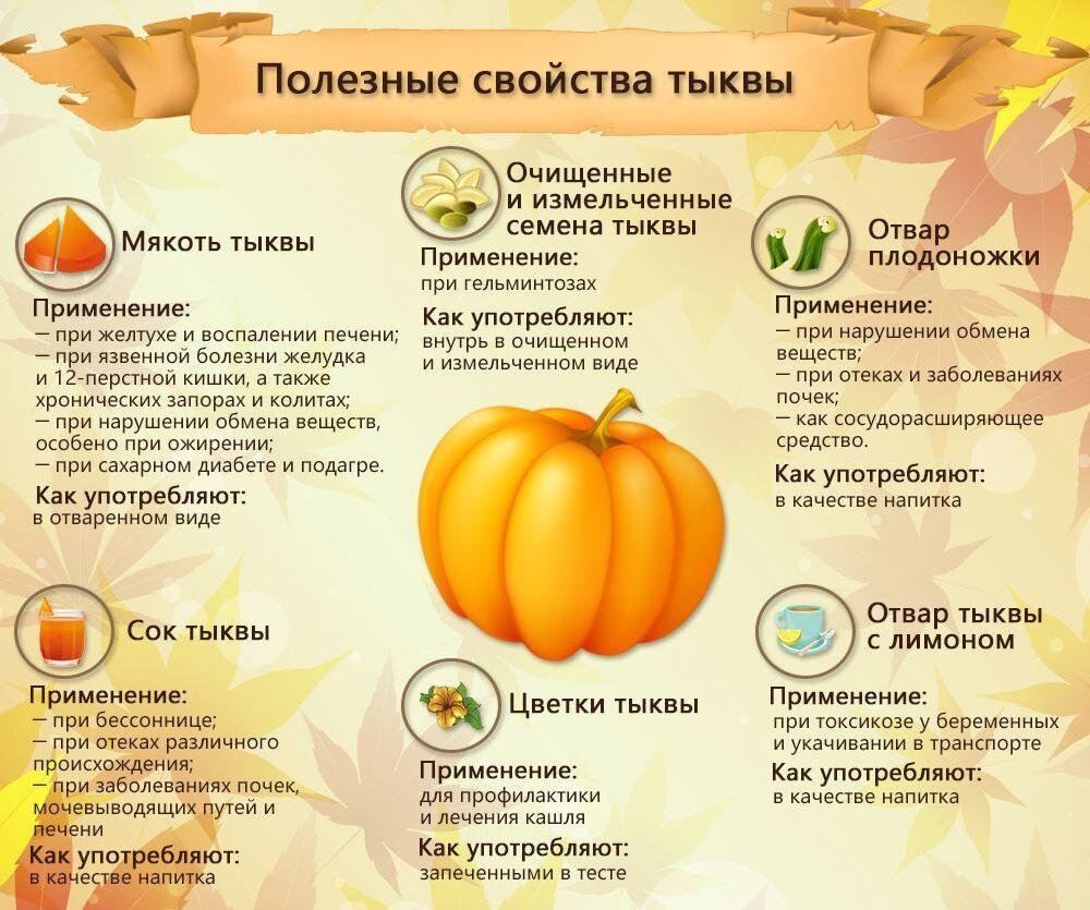 Можно ли кормящим тыквы. Чем полезна тыква. Полезные вещества в тыкве. Полезные витамины в тыкве. Тыква польза.