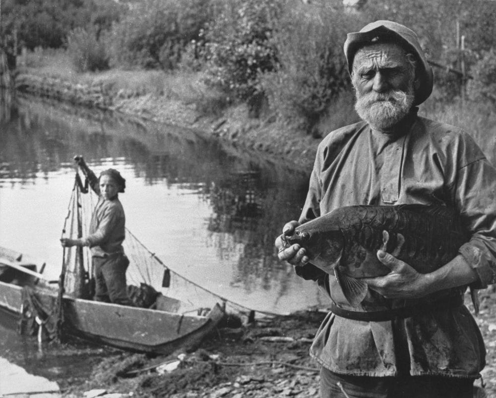 В старину рыбы. Рыболовство в старину. Рыбак в старину. Советские рыбаки. Рыбный промысел в старину.