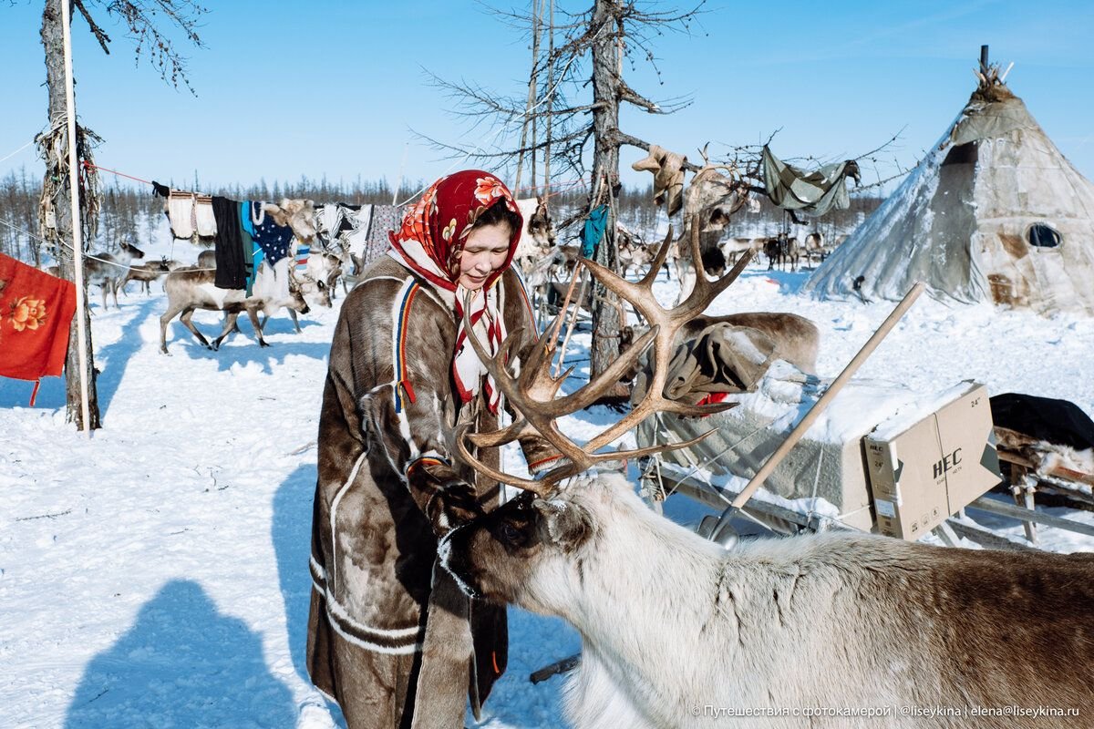 -30 °С зимой в тундре — абсолютно обычная и нормальная температура