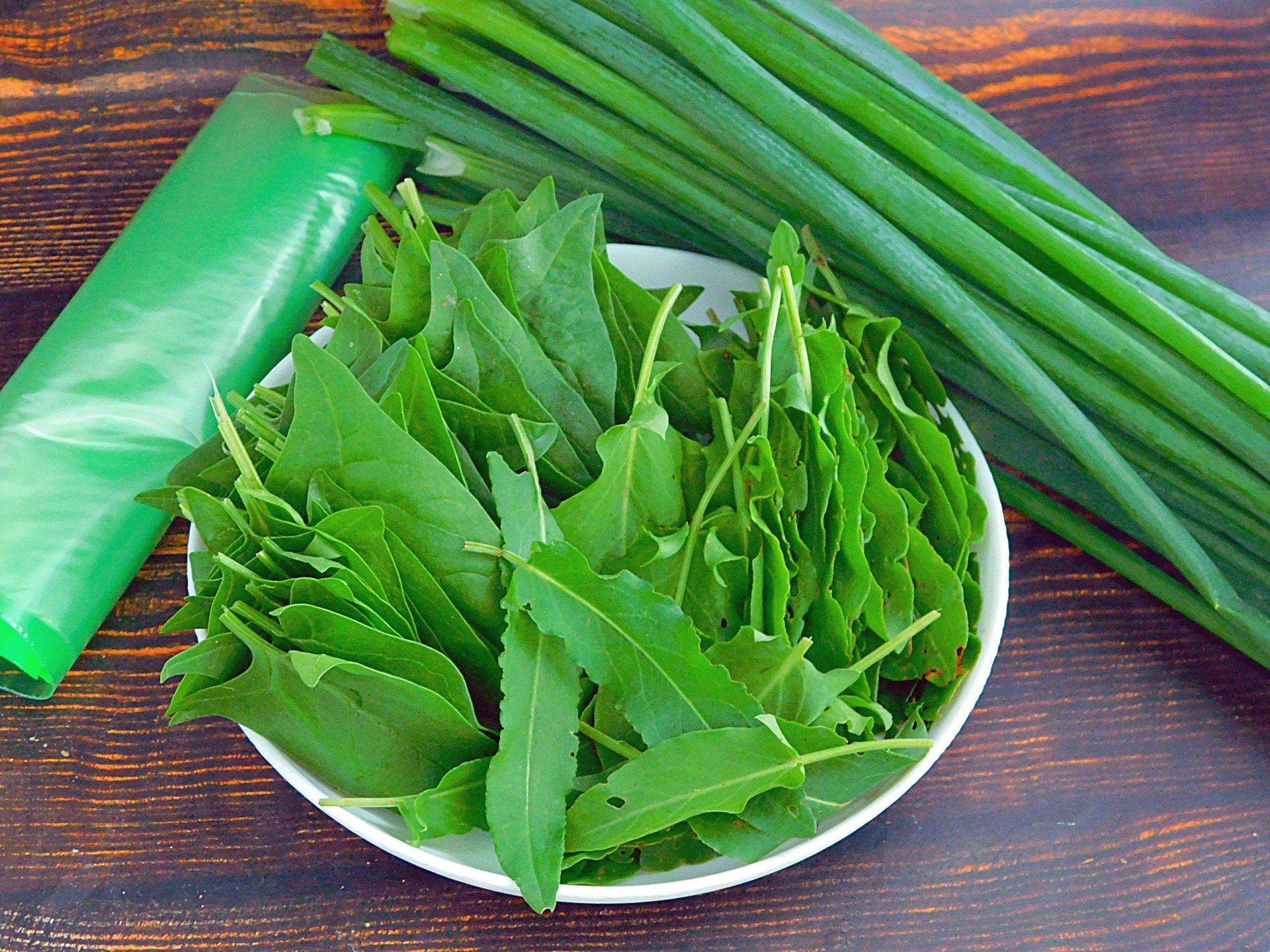 Щавель изумрудный король. Щавелевый суп. Щавелевые щи. Зеленый щавель. Щи с щавелем.