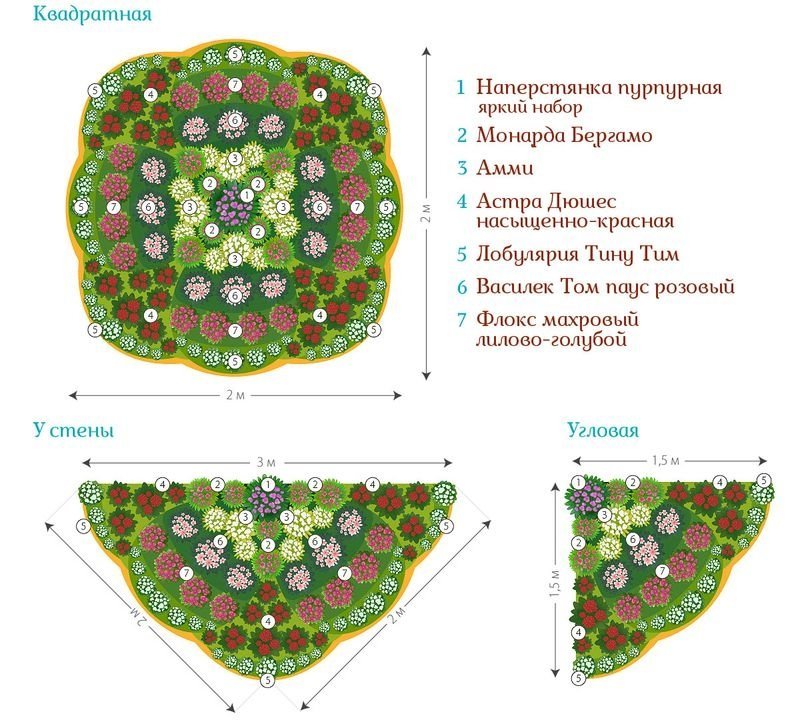Ковровая клумба схема